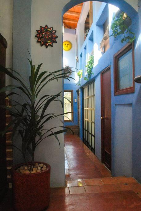 Hostal Casa 4 Estaciones, Coliving & Nature San Cristobal de las Casas Exterior photo
